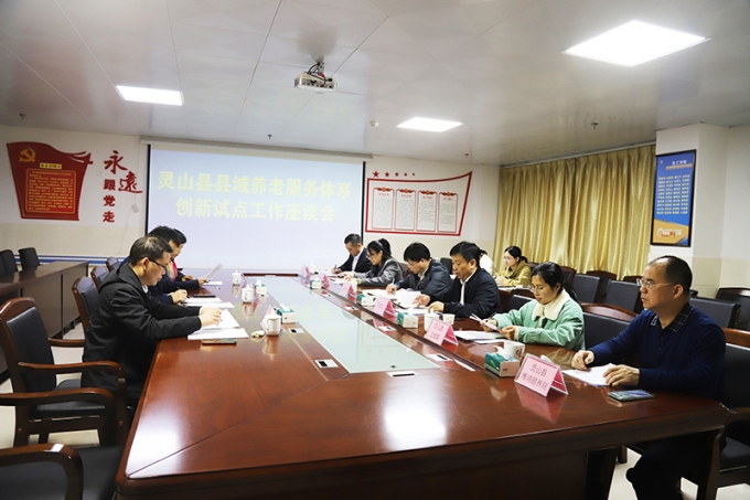 民政部、财政部专家组到灵山博鸿开展县域养老服务体系创新试点工作调研