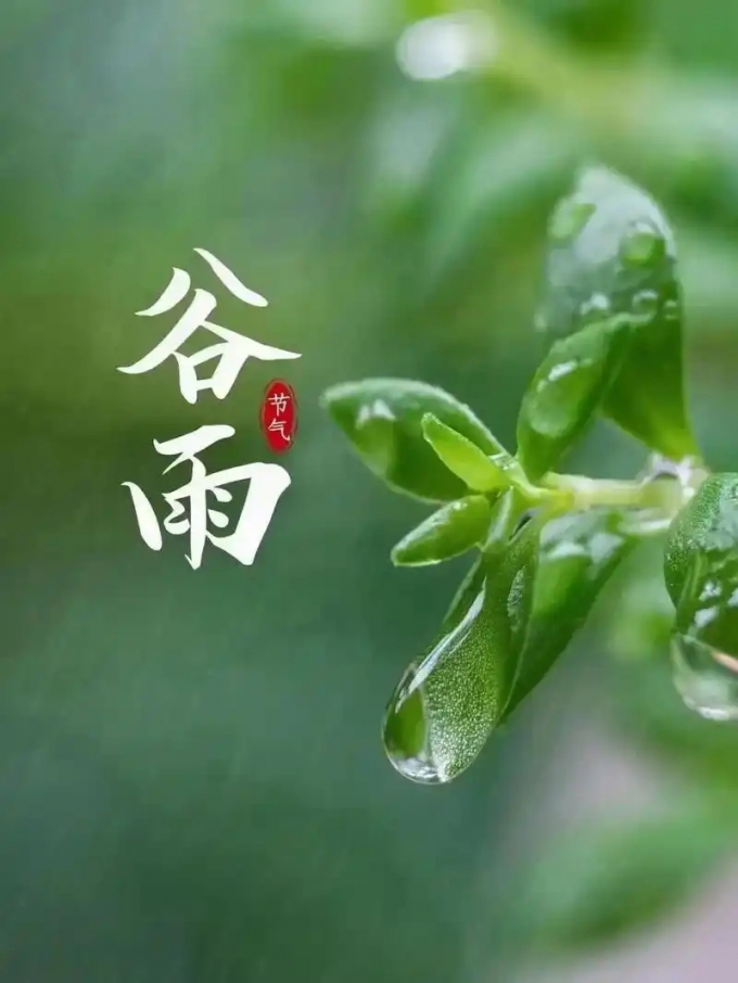 灵山县博鸿颐养院谷雨节气炖汤——冬瓜薏米老鸭汤