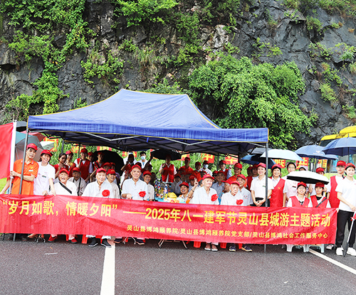 岁月如歌·情暖夕阳 ―灵山博鸿八一建军节县城游主题活动